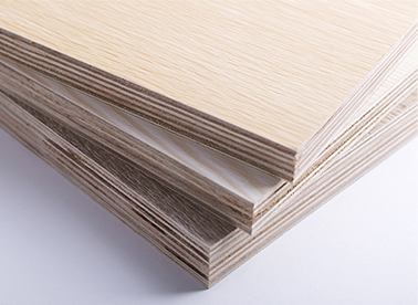 西林木業(yè) 點(diǎn)滴關(guān)愛，從我做起，共筑綠色家園